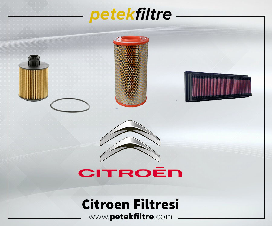citroen filtresi